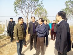 2015年12月8日农业部副部长陈晓华(右二)在荆州市人民政府市长崔永辉(左一)考察